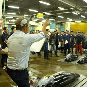 Foto Jiro Dreams of Sushi