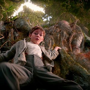 Foto Levi Miller (II)