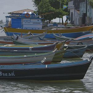 Foto 5 Vezes Chico - O Velho e Sua Gente