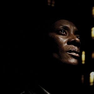 Foto Cavalo Dinheiro