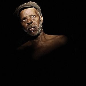 Foto Cavalo Dinheiro