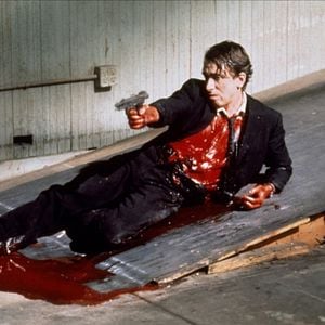 Foto Cães de Aluguel