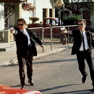 Foto Cães de Aluguel