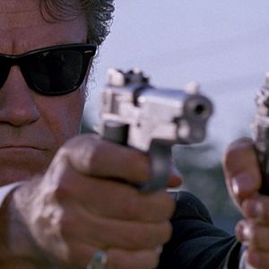 Foto Cães de Aluguel