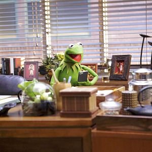 Foto Os Muppets