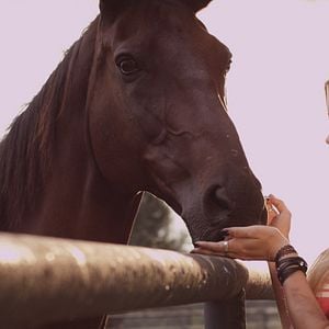 Foto Uma Lição de Humildade