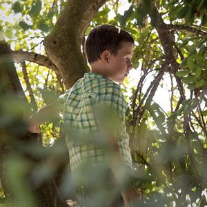 Foto Um Dia Perfeito Para Voar