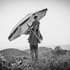 Foto Um Dia Perfeito Para Voar