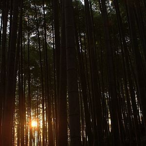 Foto Steve Jobs - O Homem e a Máquina