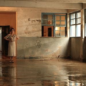 Foto Nise - O Coração da Loucura