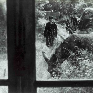 Foto A Grande Testemunha