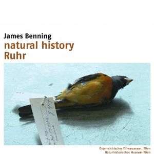 Foto História Natural