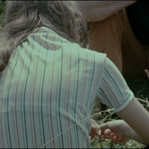 Foto Um Filme Como os Outros