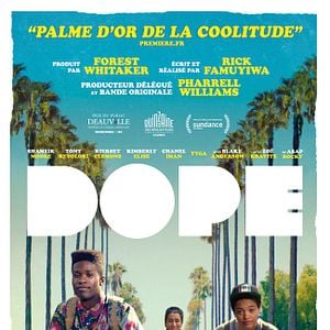 Foto Dope: Um Deslize Perigoso