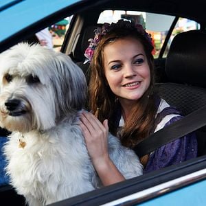 Foto Pudsey - Este Cão é um Herói!