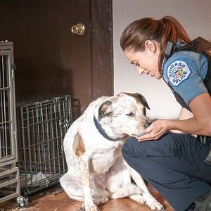 Foto Marina Squerciati