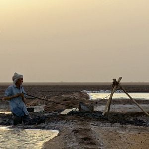 Foto My Name Is Salt