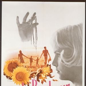 Foto As Duas Faces da Felicidade