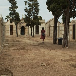 Foto Stephanie Petrowitz