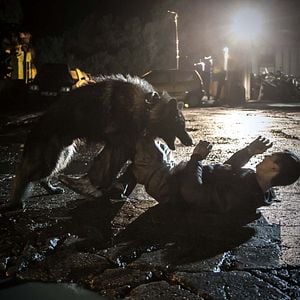 Foto The Last Panthers