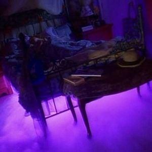 Foto Meu Amigo Bicho-Papão