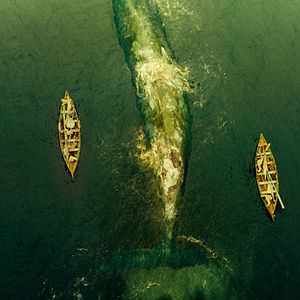 Foto No Coração do Mar