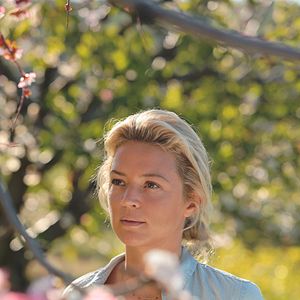 Foto O Sentido do Amor