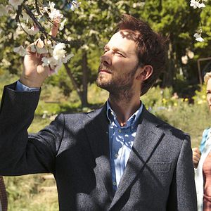 Foto O Sentido do Amor