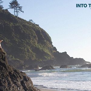 Foto Na Natureza Selvagem