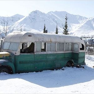 Foto Na Natureza Selvagem