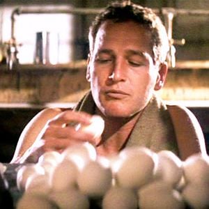 Foto Rebeldia Indomável