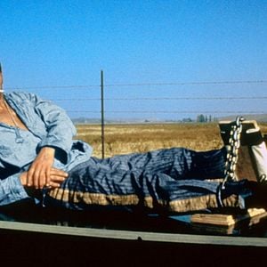 Foto Rebeldia Indomável