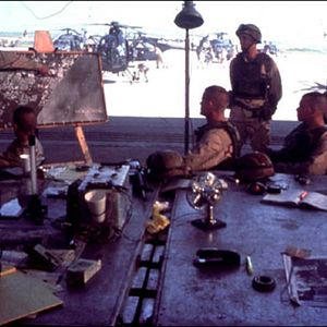 Foto Falcão Negro em Perigo