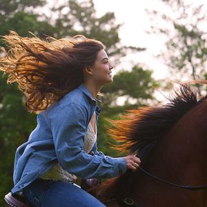Foto Coragem Para Vencer