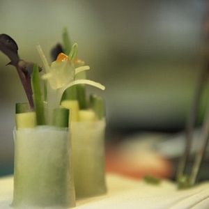 Foto Foodies - Jet Set Culinário