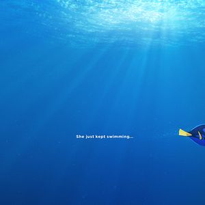 Foto Procurando Dory