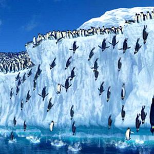 Foto Happy Feet - O Pinguim