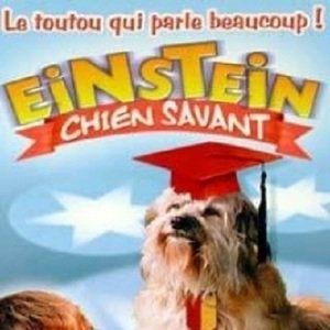 Foto Meu Amigo Einstein