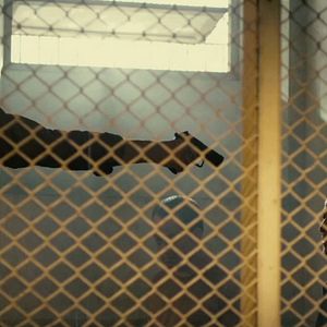 Foto Tolerância Zero