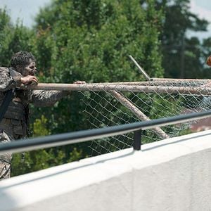Foto The Walking Dead