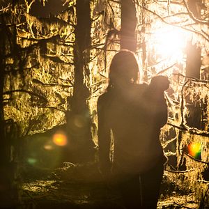 Foto A Maldição da Floresta