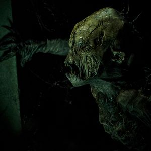 Foto A Maldição da Floresta