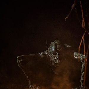 Foto A Maldição da Floresta