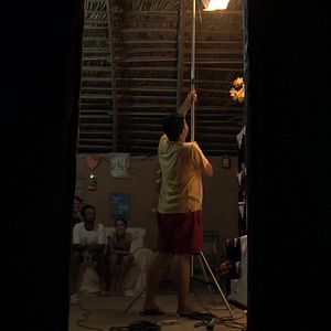 Foto Passarinho Lá de Nova Iorque