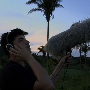 Foto Passarinho Lá de Nova Iorque