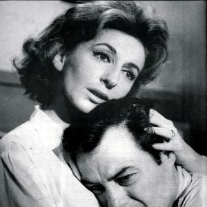 Foto Procura-se Uma Rosa