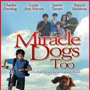 Foto Dois Cachorrinhos Milagrosos