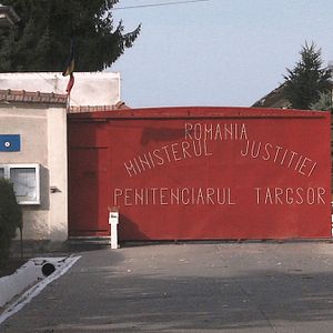 Foto Toto and His Sisters