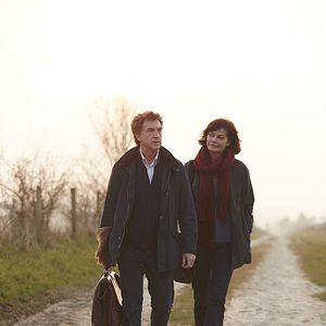 Foto Insubstituível