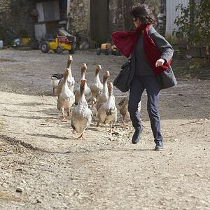 Foto Insubstituível